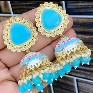 Beautiful Minakari earings